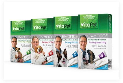 Fleas, Ticks and Worming